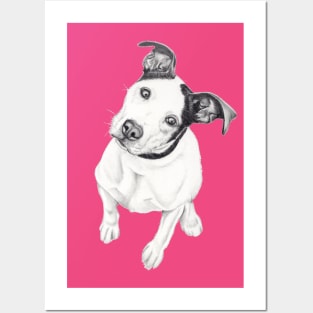 Rosco (Pit Mix) Posters and Art